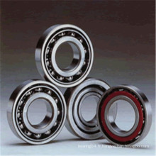 Roulement à billes en acier chromé de haute qualité C3 Clearance c3 Deep Groove Ball Bearing